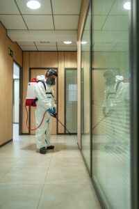 Cómo actuar en menos de 24h contra plagas en verano